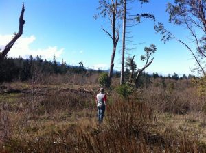 redcoat goats dairy farm land 